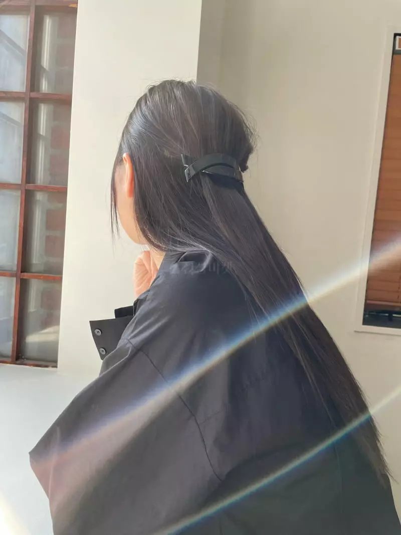 Nyunyu Wear - Korean Women Fashion - #pursuepretty - Arc Ggom Hairpin - 9