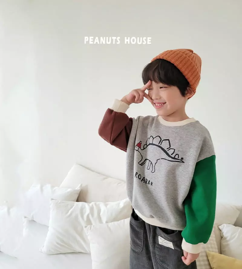 Peanuts - Korean Children Fashion - #Kfashion4kids - Dino Tee - 5