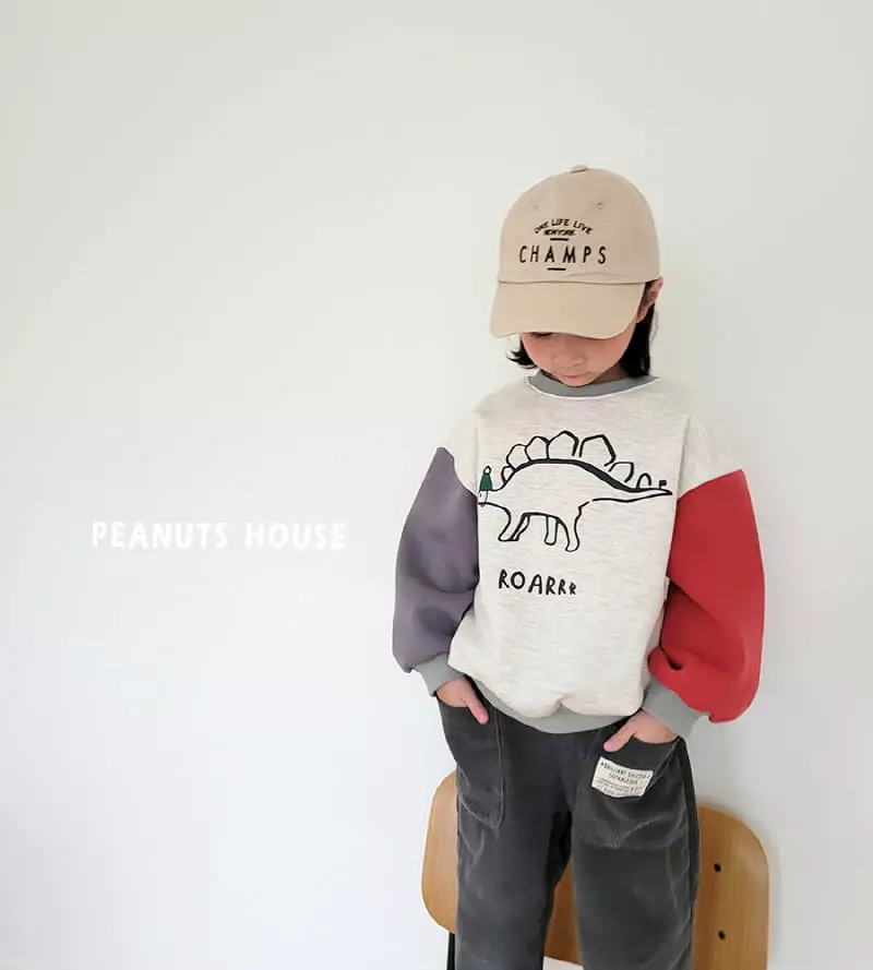 Peanuts - Korean Children Fashion - #fashionkids - Dino Tee