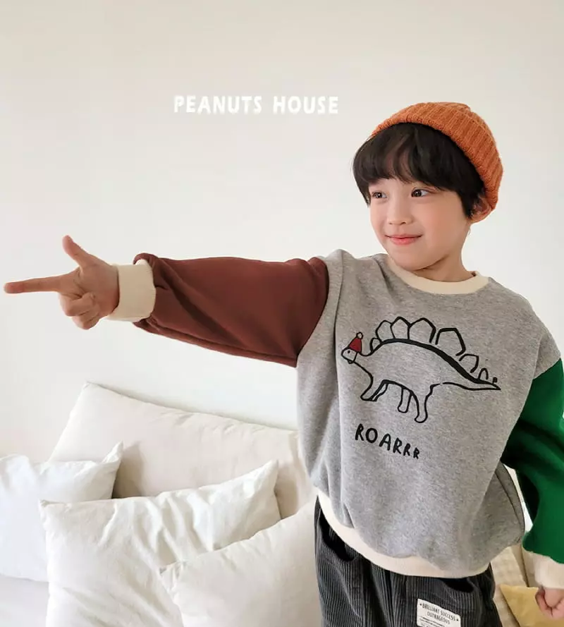 Peanuts - Korean Children Fashion - #kidsstore - Dino Tee - 3