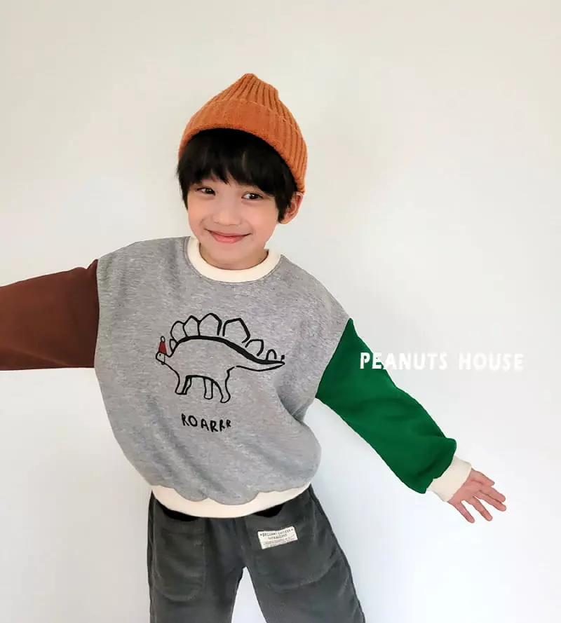 Peanuts - Korean Children Fashion - #kidsstore - Dino Tee - 4