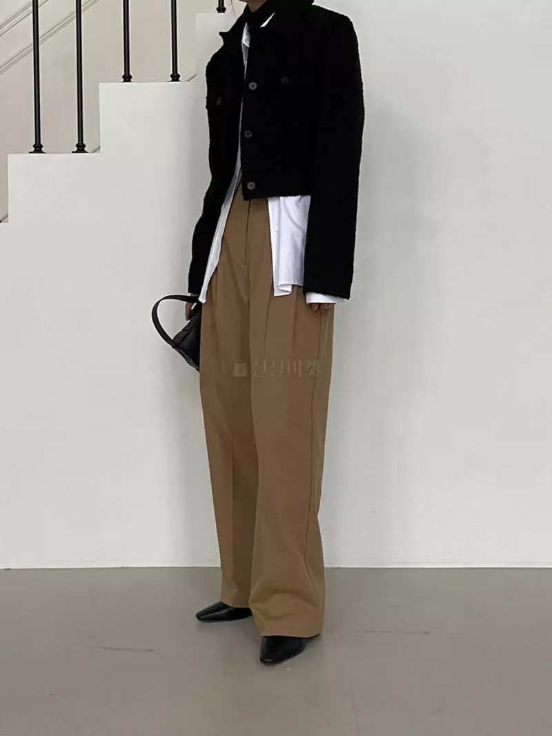 Avecnous - Korean Women Fashion - #momslook - Buff Pintuck Pants - 12