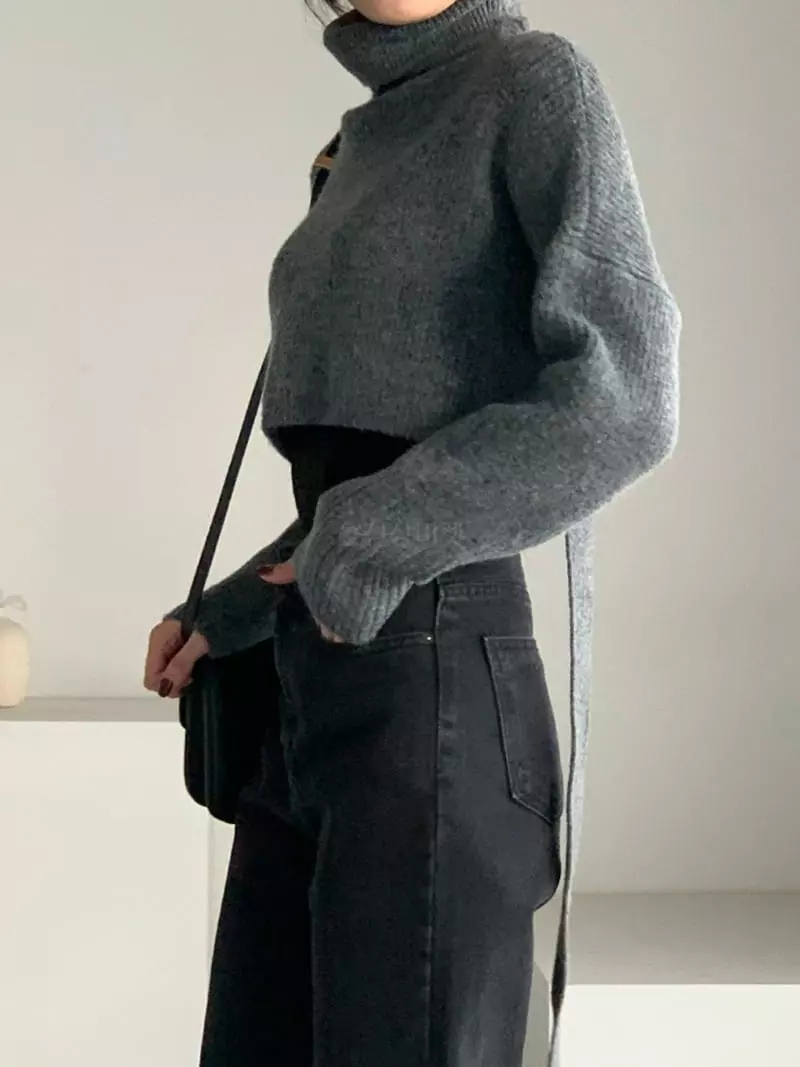 Baribari - Korean Women Fashion - #womensfashion - Crop Knit Turtleneck Tee - 9