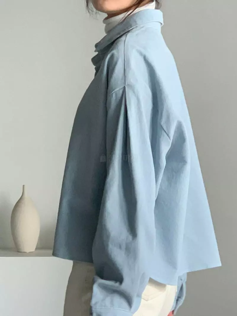 Baribari - Korean Women Fashion - #womensfashion - Rib Crop SHIrt - 10