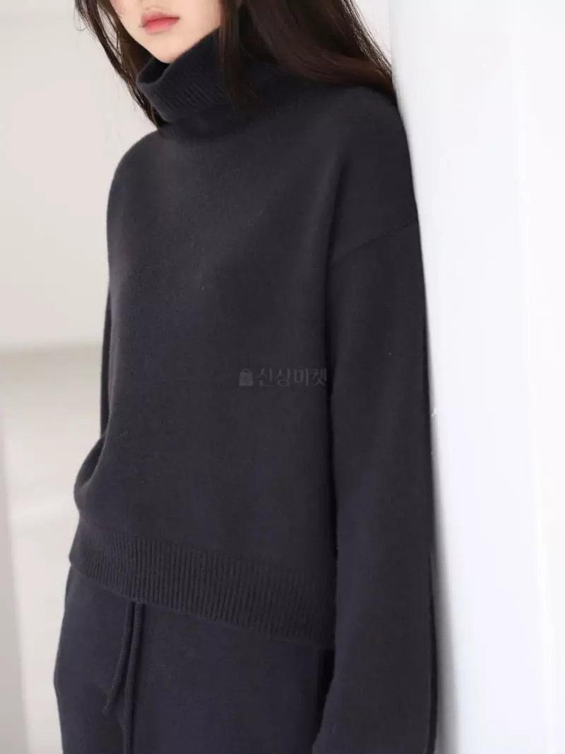 Cullum - Korean Women Fashion - #womensfashion - Puggy Turtleneck Tee - 7