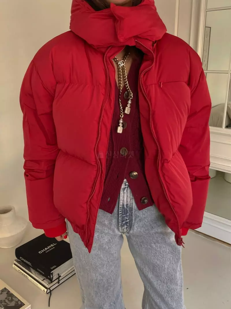 Dailyjud - Korean Women Fashion - #womensfashion - Hoody Padding Jacket - 10