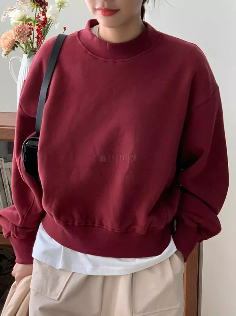 Dawning - Korean Women Fashion - #thatsdarling - Half Turtleneck Sweatshirt - 9