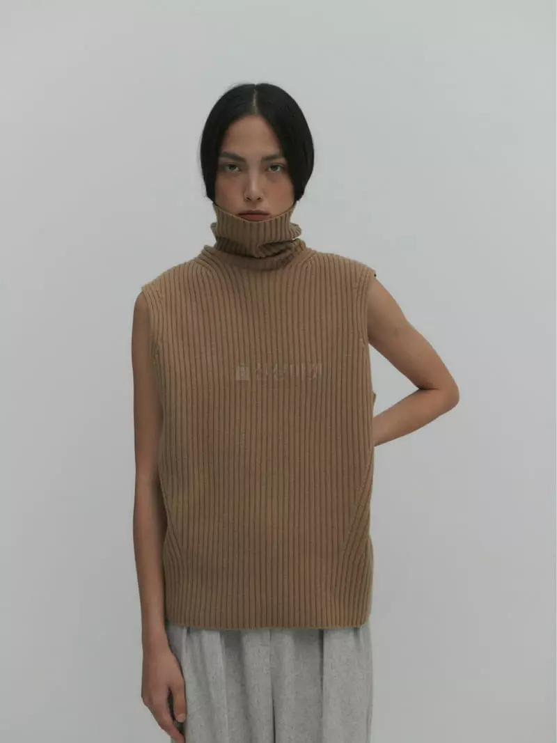 Fave - Korean Women Fashion - #womensfashion - Rib Turtleneck Knit Tee - 4