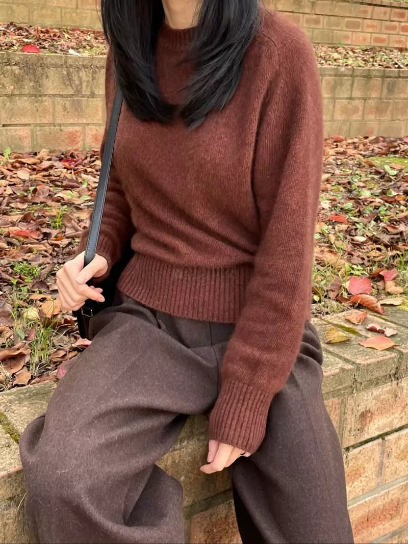 Levase - Korean Women Fashion - #restrostyle - Racoon Knit Tee - 2