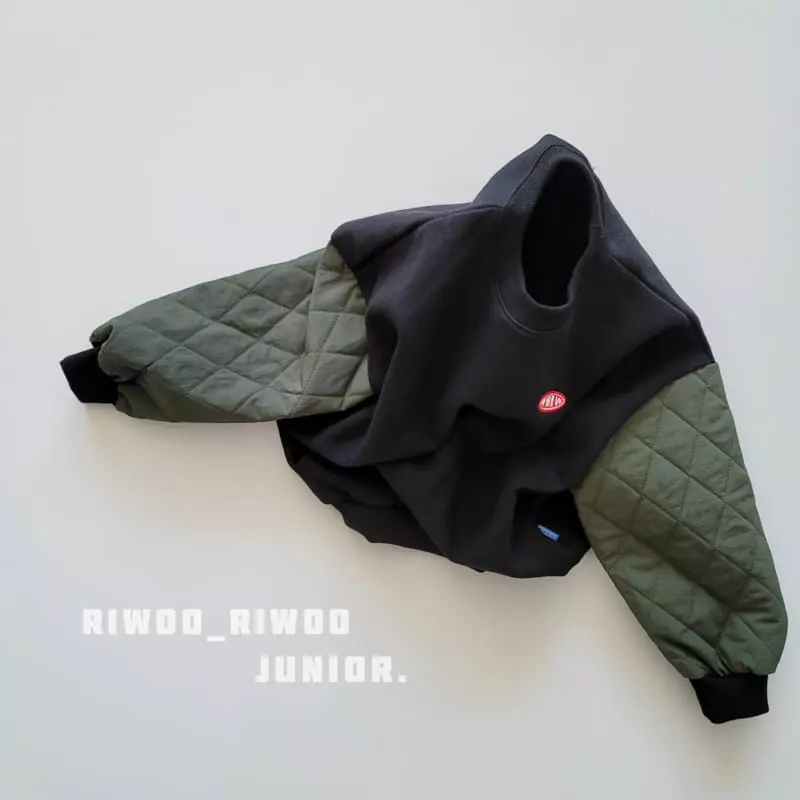 Riwoo Riwoo - Korean Children Fashion - #toddlerclothing - Sleeves Padding Sweathsirt - 6