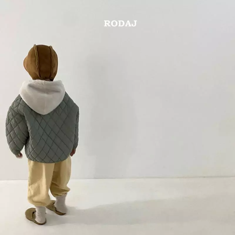 Roda J - Korean Children Fashion - #kidsstore - Lie Hoody Tee