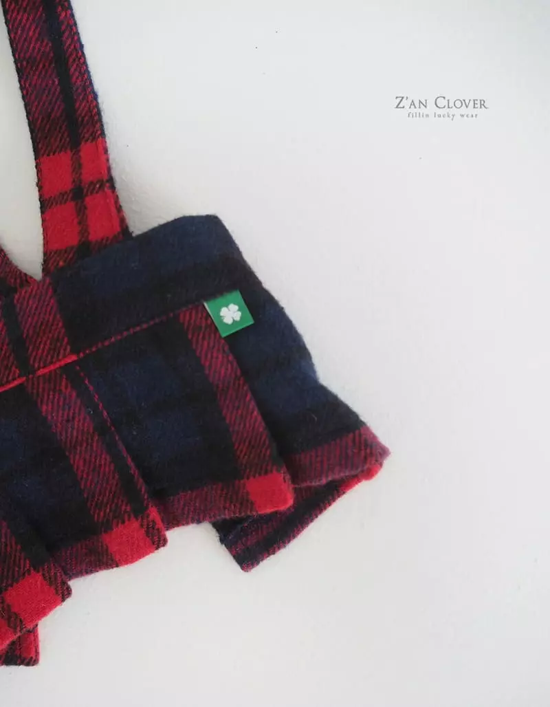 Zan Clover - Korean Baby Fashion - #babyboutiqueclothing - Pet Check Pleats Skirt - 6