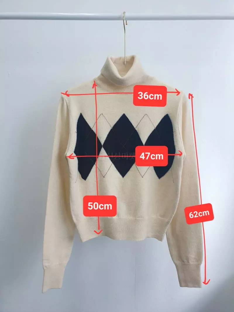 Highcolor - Korean Women Fashion - #restrostyle - Dia Turtleneck Knit Tee - 12