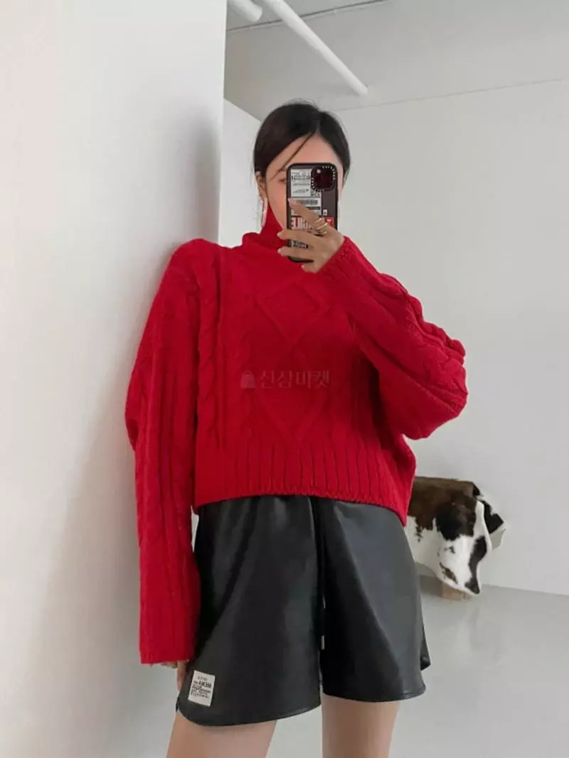 Highcolor - Korean Women Fashion - #womensfashion - Eve Turtle Knit Tee - 7