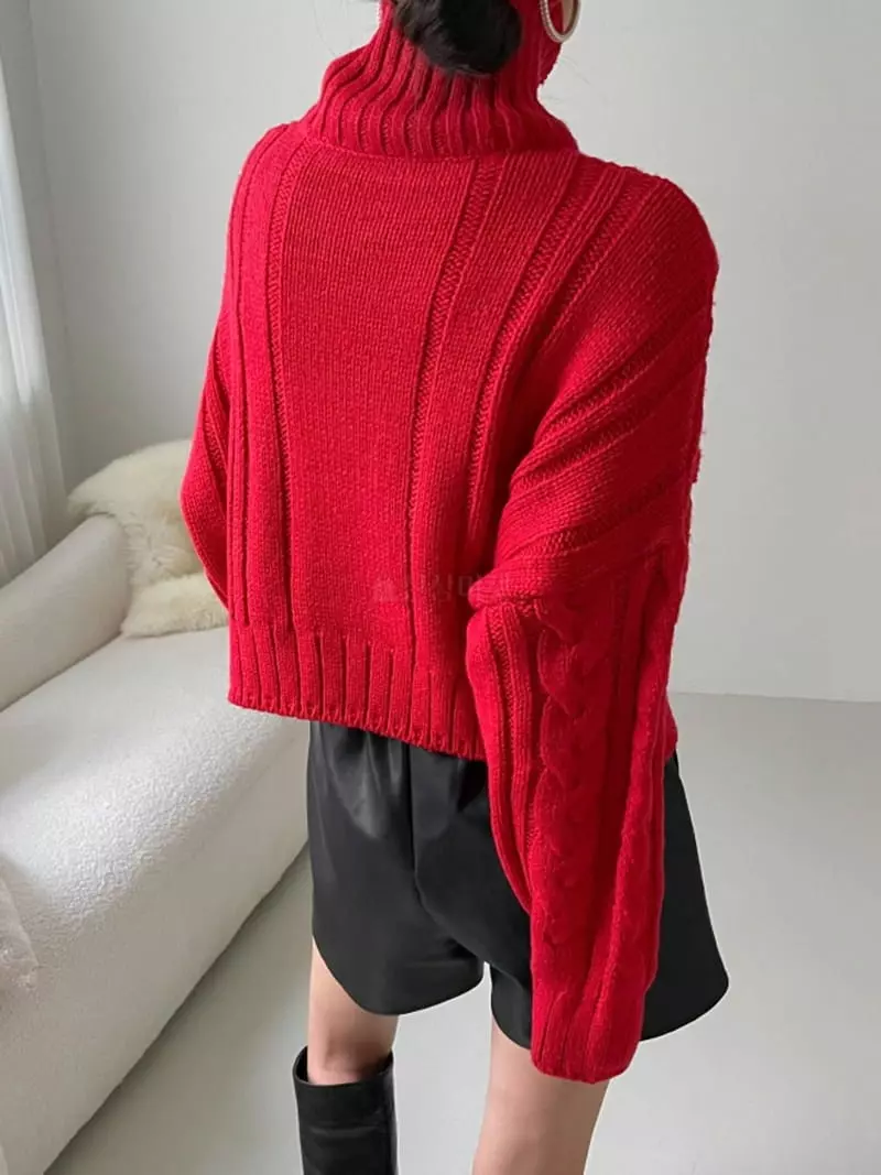 Highcolor - Korean Women Fashion - #womensfashion - Eve Turtle Knit Tee - 9