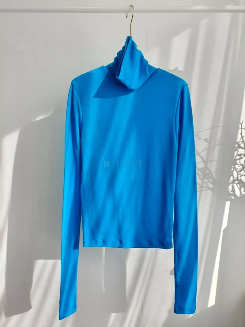 Highcolor - Korean Women Fashion - #womensfashion - Soda Turtleneck Tee - 7