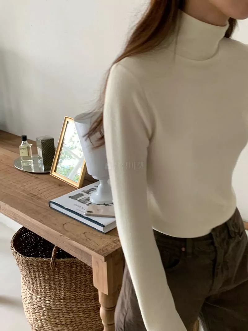 Jinsim - Korean Women Fashion - #momslook - Lilly Turtleneck Tee - 12