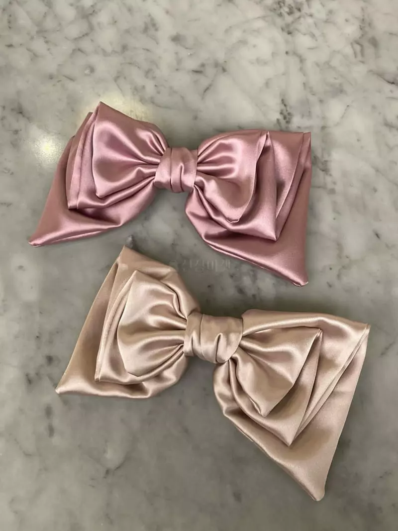 Nouveau - Korean Women Fashion - #womensfashion - Sus Ribbon hairpin - 4