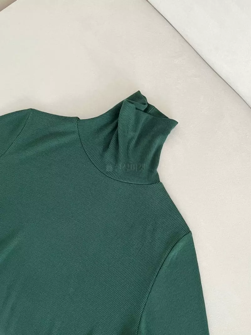 Oneand - Korean Women Fashion - #pursuepretty - Basic Turtleneck Tee - 5